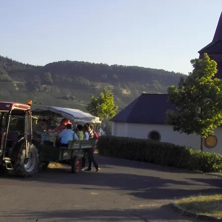 Gasthof Alexanderhof 4*