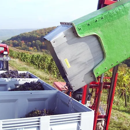 Gaestehaus Alexanderhof Gasthuis 4*