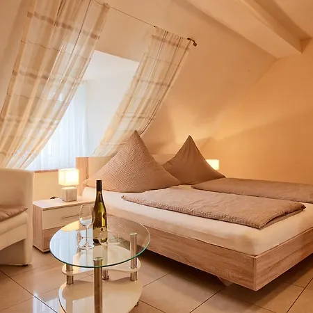 Gasthuis Gaestehaus Alexanderhof 4*