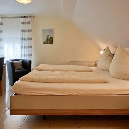 艾丽卡德霍富旅馆