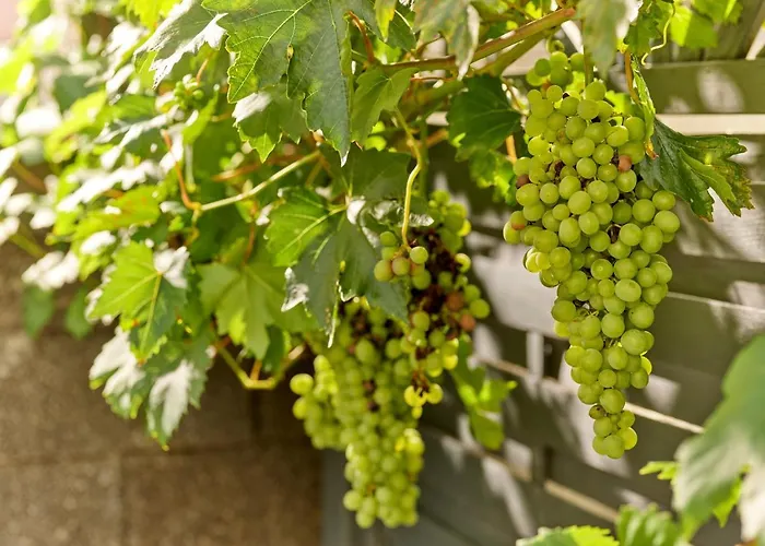 Gasthof Alexanderhof 4*