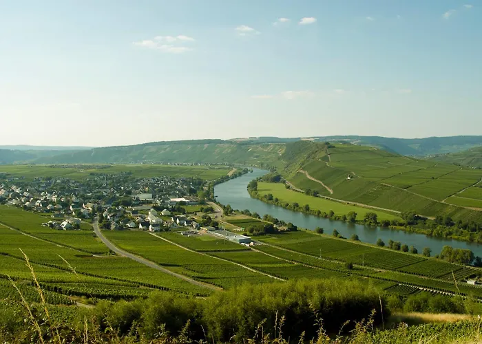 Alexanderhof Gasthof Leiwen