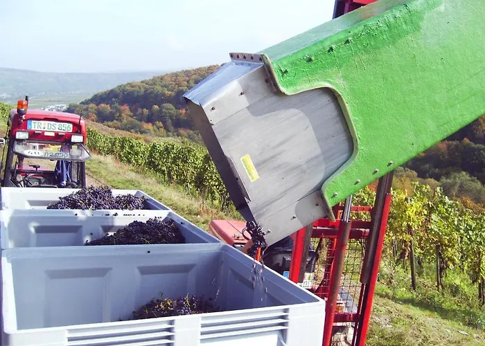 Gaestehaus Alexanderhof Pensjonat 4*